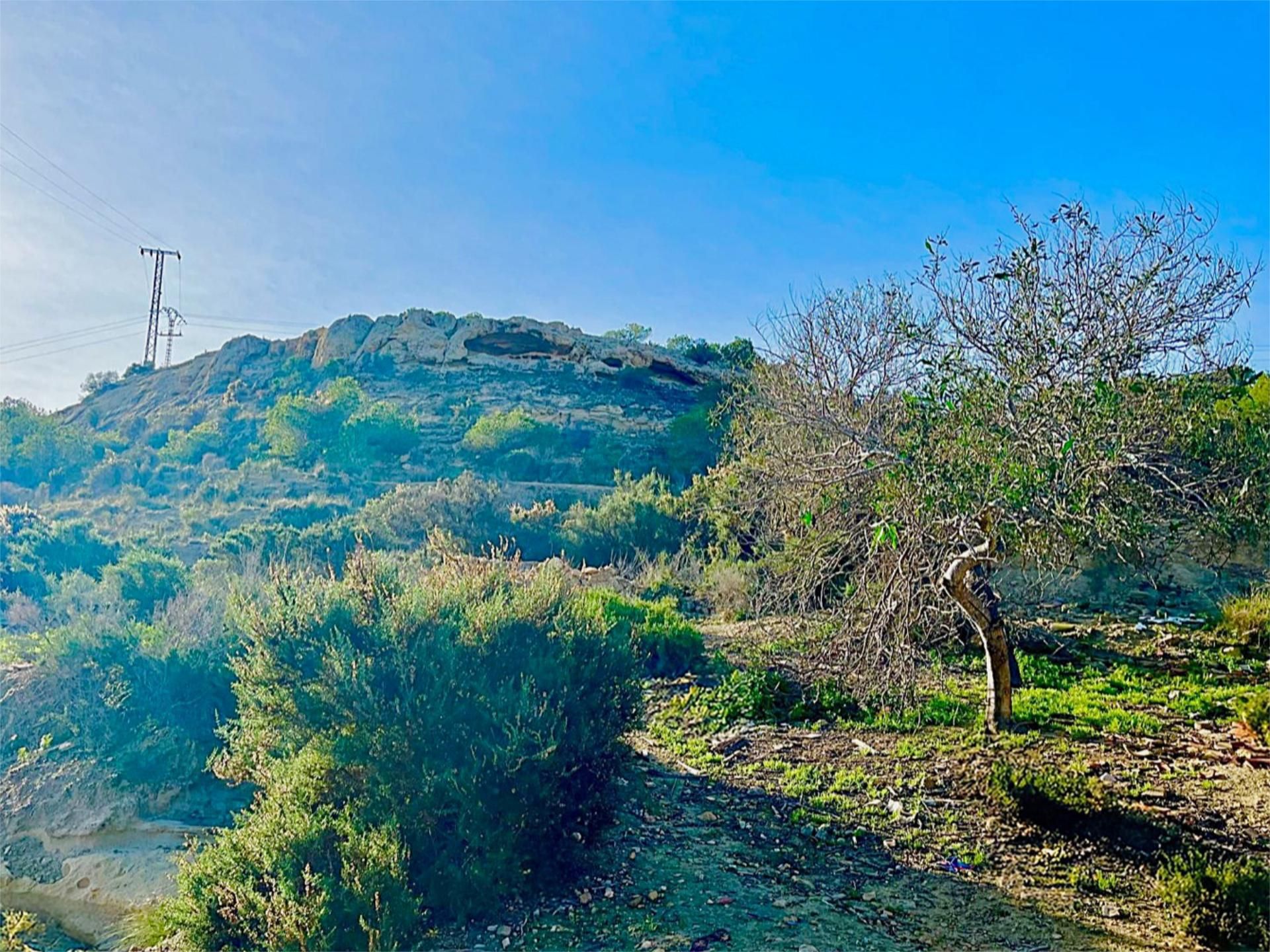 Finca rústica en  Camino Viejo de Saladas 10 - Foto 12