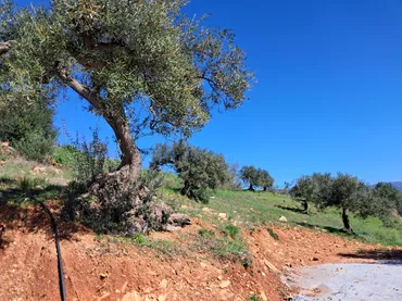 Finca rústica en  Diseminado el Cerval Pol 15 34B - Foto 12