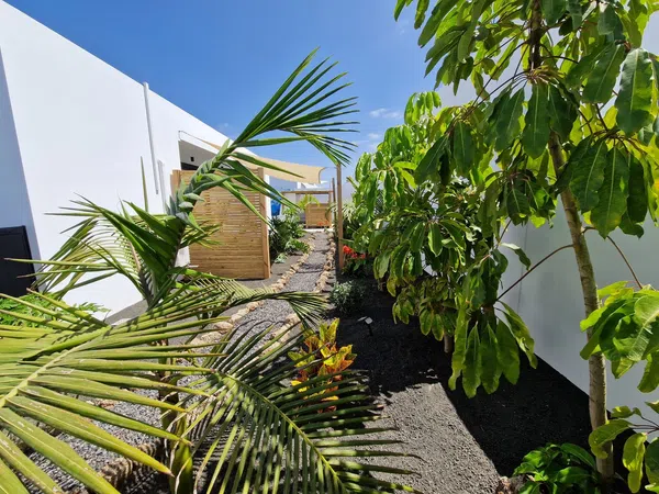 Casa o chalet independiente en Calle Melà, 31, La Oliva, La Oliva - Foto 36