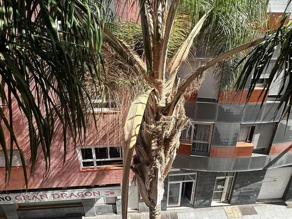 Piso en Calle Sagasta, 7 -9, Santa Catalina - Canteras - Foto 2