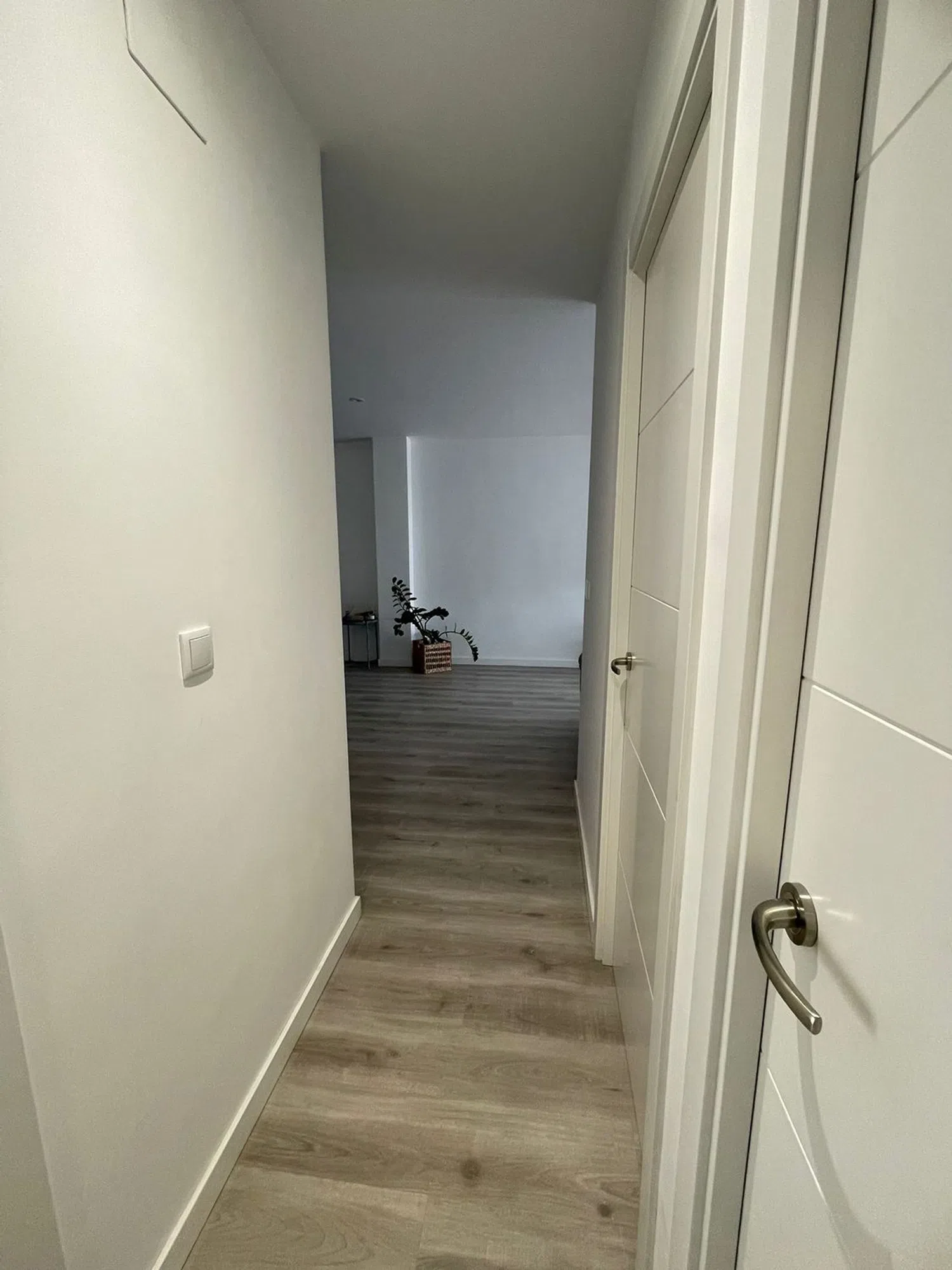 Piso en Litógrafo pascual abad, 24 - Foto 1
