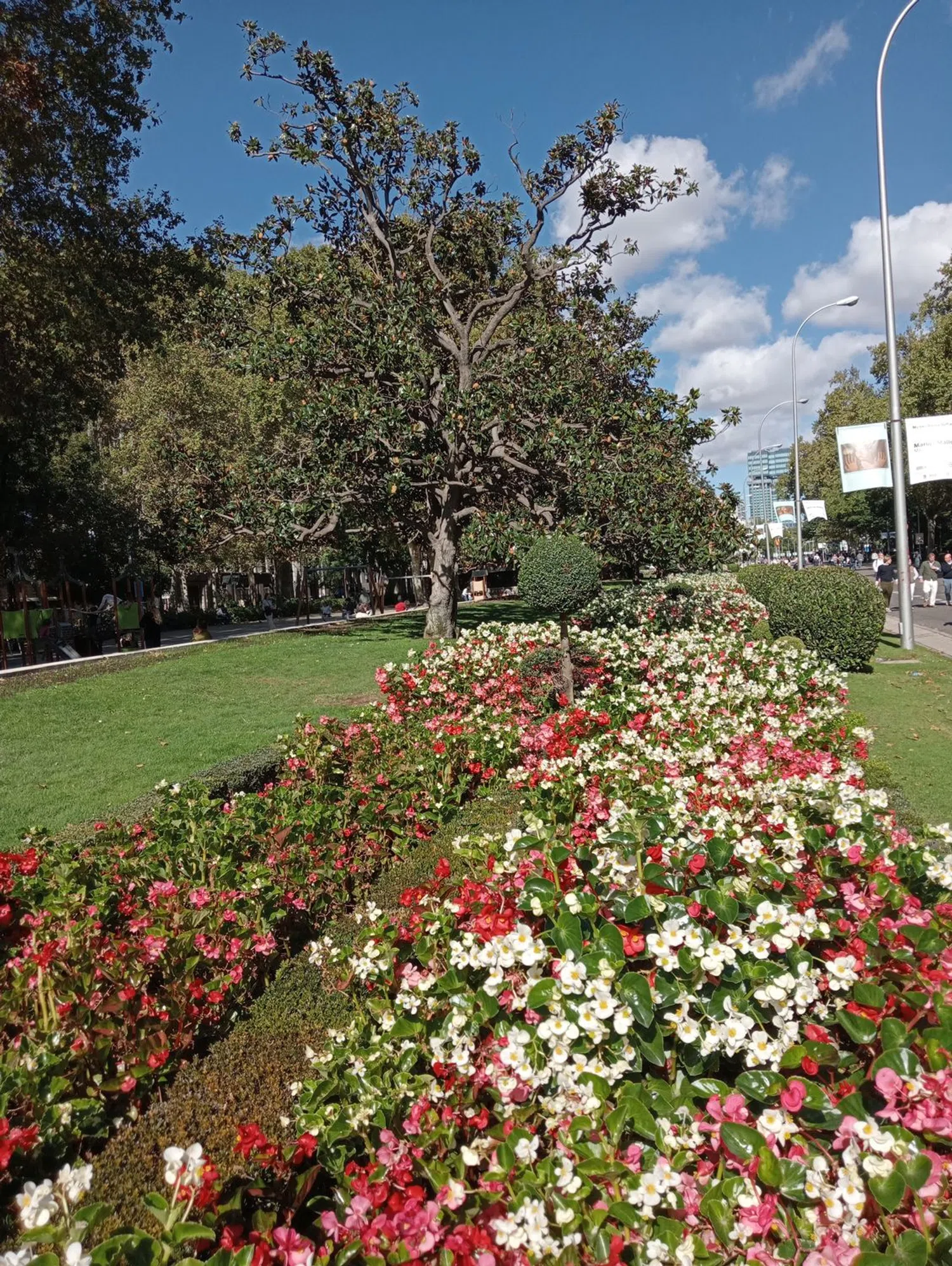 Dúplex en paseo del Prado, 44 - Foto 40