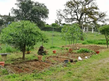 Finca rústica en  Calle Castilblanco de los Arroyos 1 - Foto 2