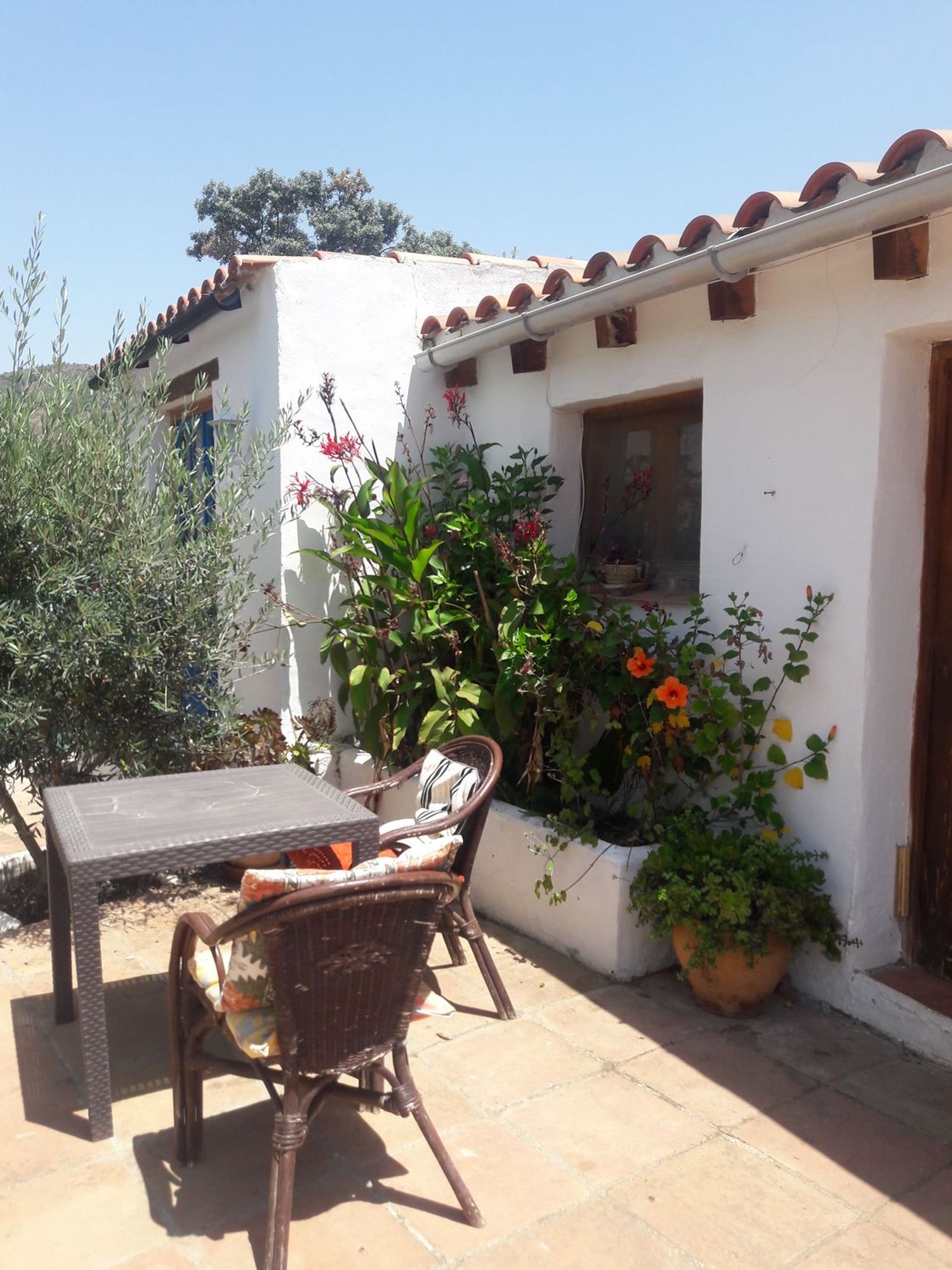 Estudio en Arroyo de Corrales s/n - Foto 3