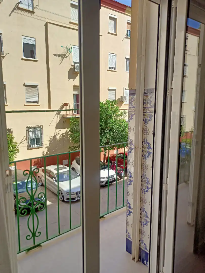Estudio en  Calle Capitán Muñoz Lozano 3 - Foto 3