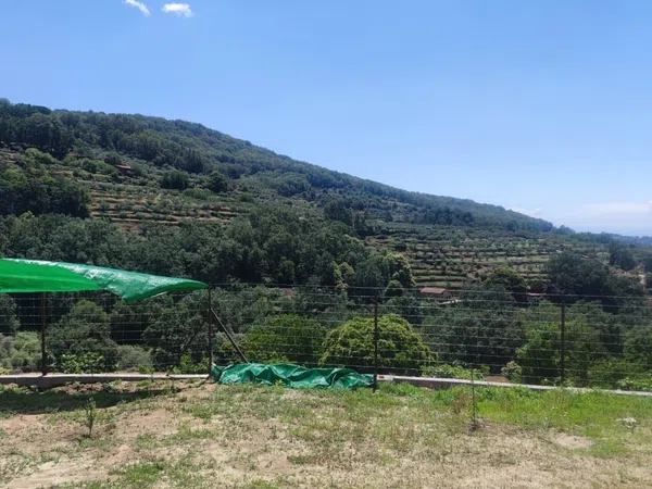 Finca rústica en Cc-245 s/n - Foto 9