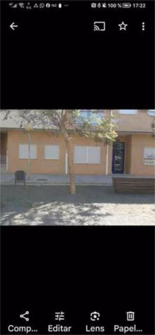 Chalet en zona sur, salabosque