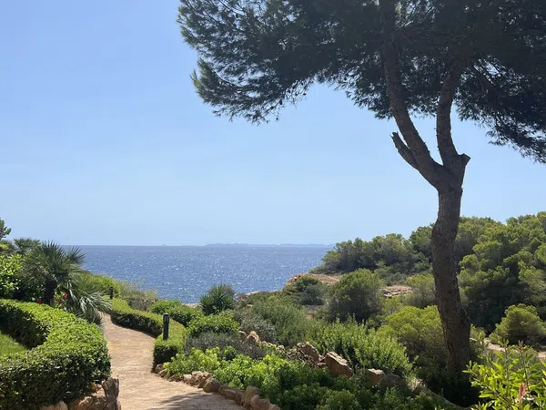 Piso en Calle de Murillo, 8, Cala Pi-Vallgornera, Cala Pi-Vallgornera - Foto 8