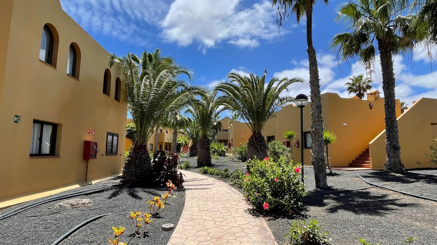 Estudio en Calle Pedro y Guy Vandaele, 19, Corralejo, La Oliva - Foto 17