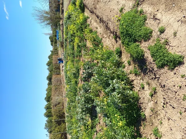 Finca rústica en plaza de Sant Isidre, 15 - Foto 26