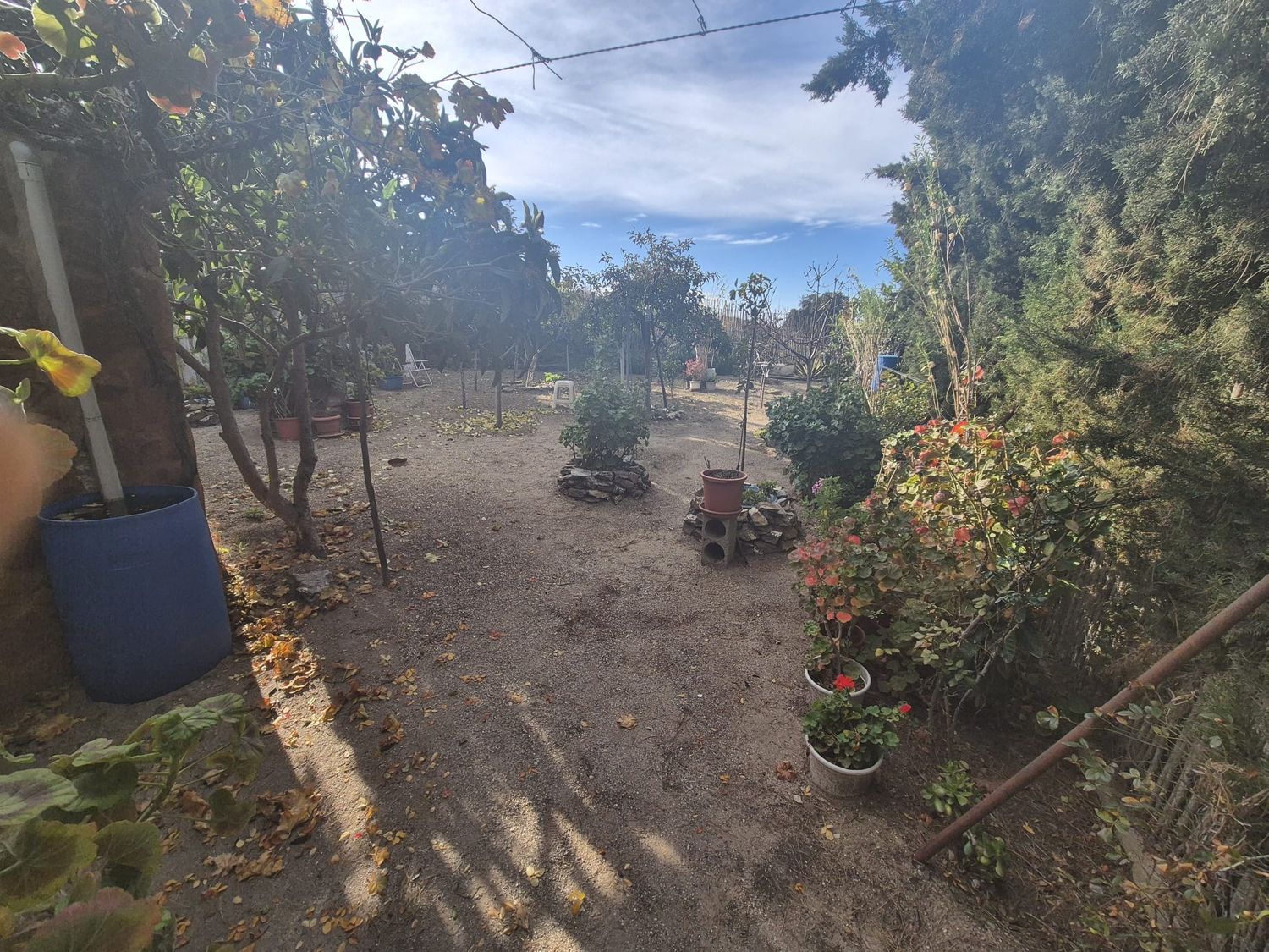 Cortijo en Los Vargas s/n - Foto 10