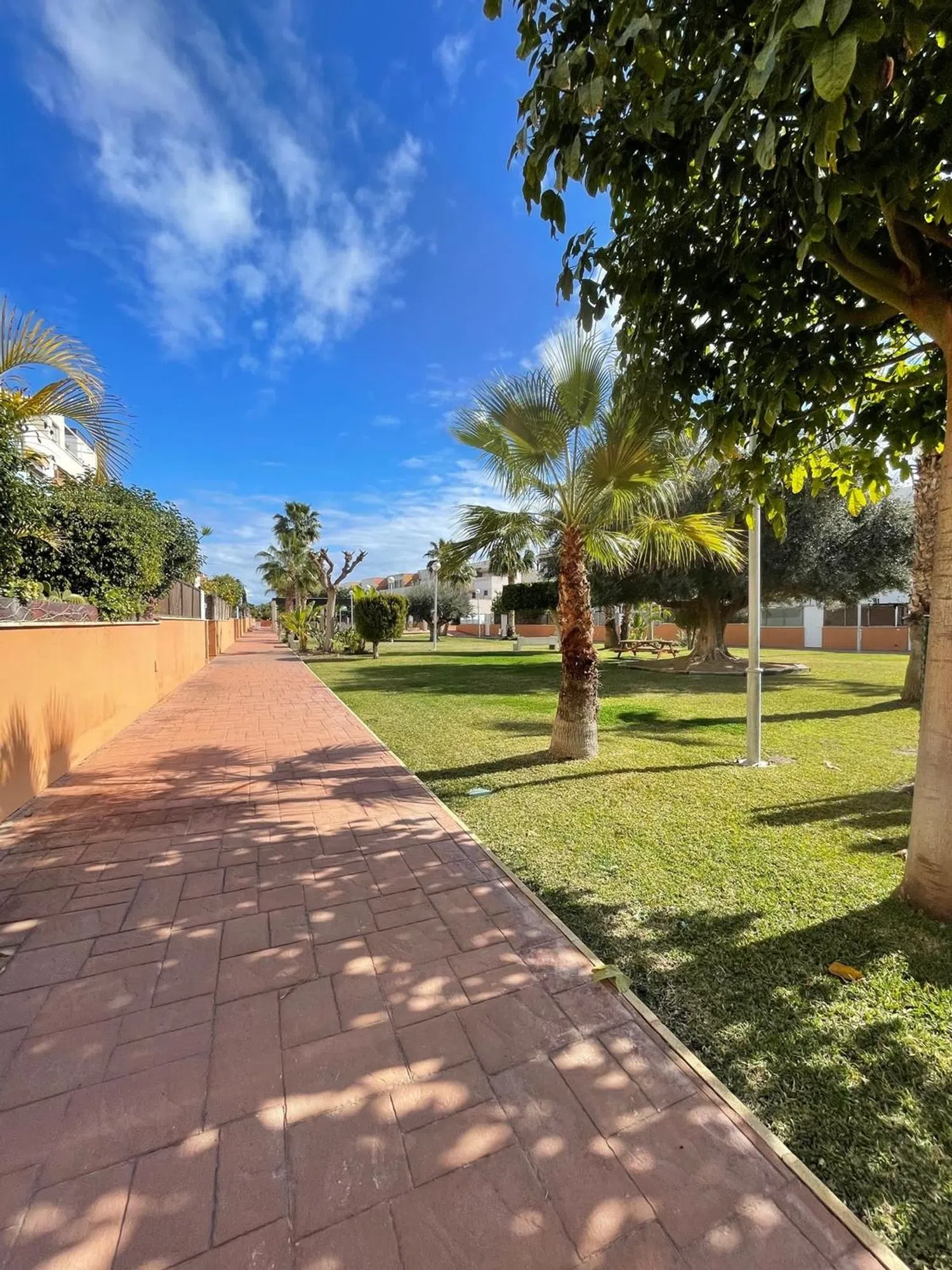 Piso en avenida Conrado Albaladejo, 33 - Foto 17