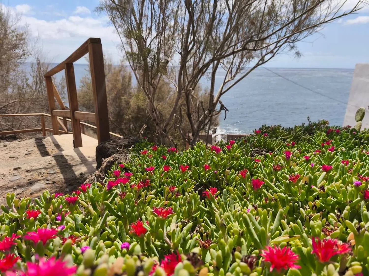Estudio en La Esperanza-Llano del Moro - Foto 9