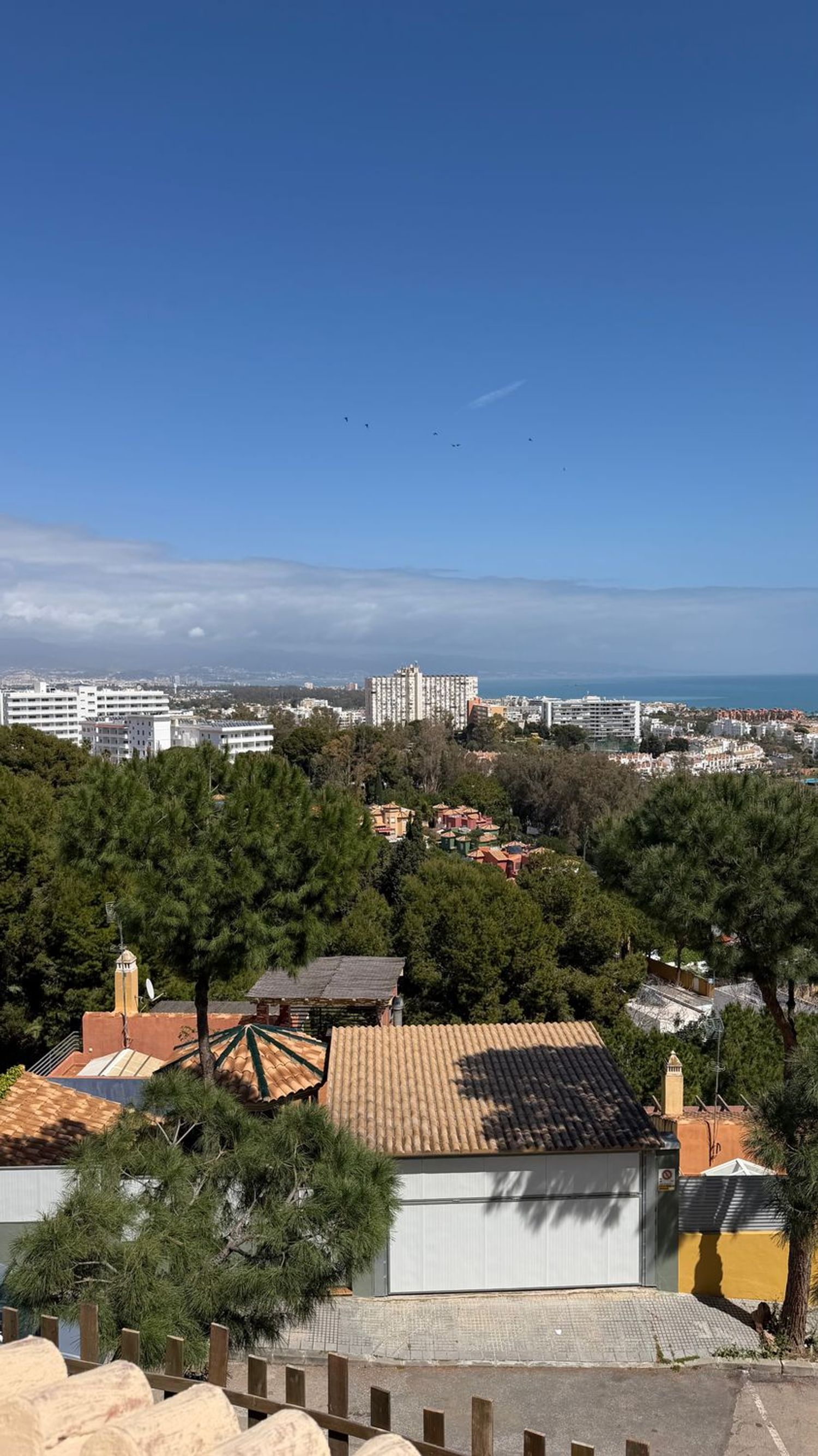 Estudio en alto del Pinar, 2 - Foto 1