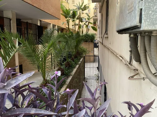 Piso en Calle Monte Carmelo, 17, Asunción - Adolfo Suárez - Foto 2