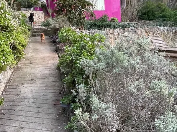 Casa terrera en calle roca s/n Sn - Foto 15