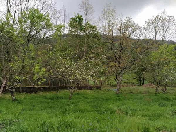 Casa rural en Senin, 6 - Foto 4