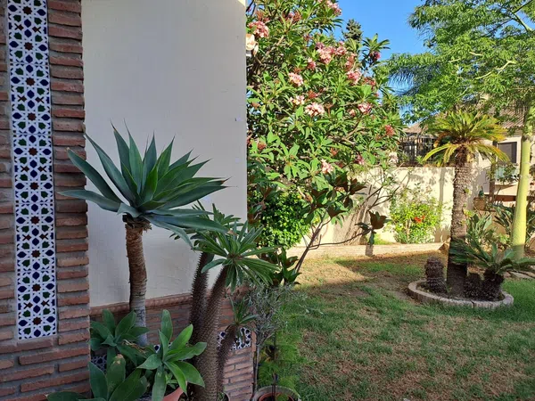 Casa o chalet independiente en Calle Gabriel y Galán, 9, Pedregalejo - Morlaco - Foto 38