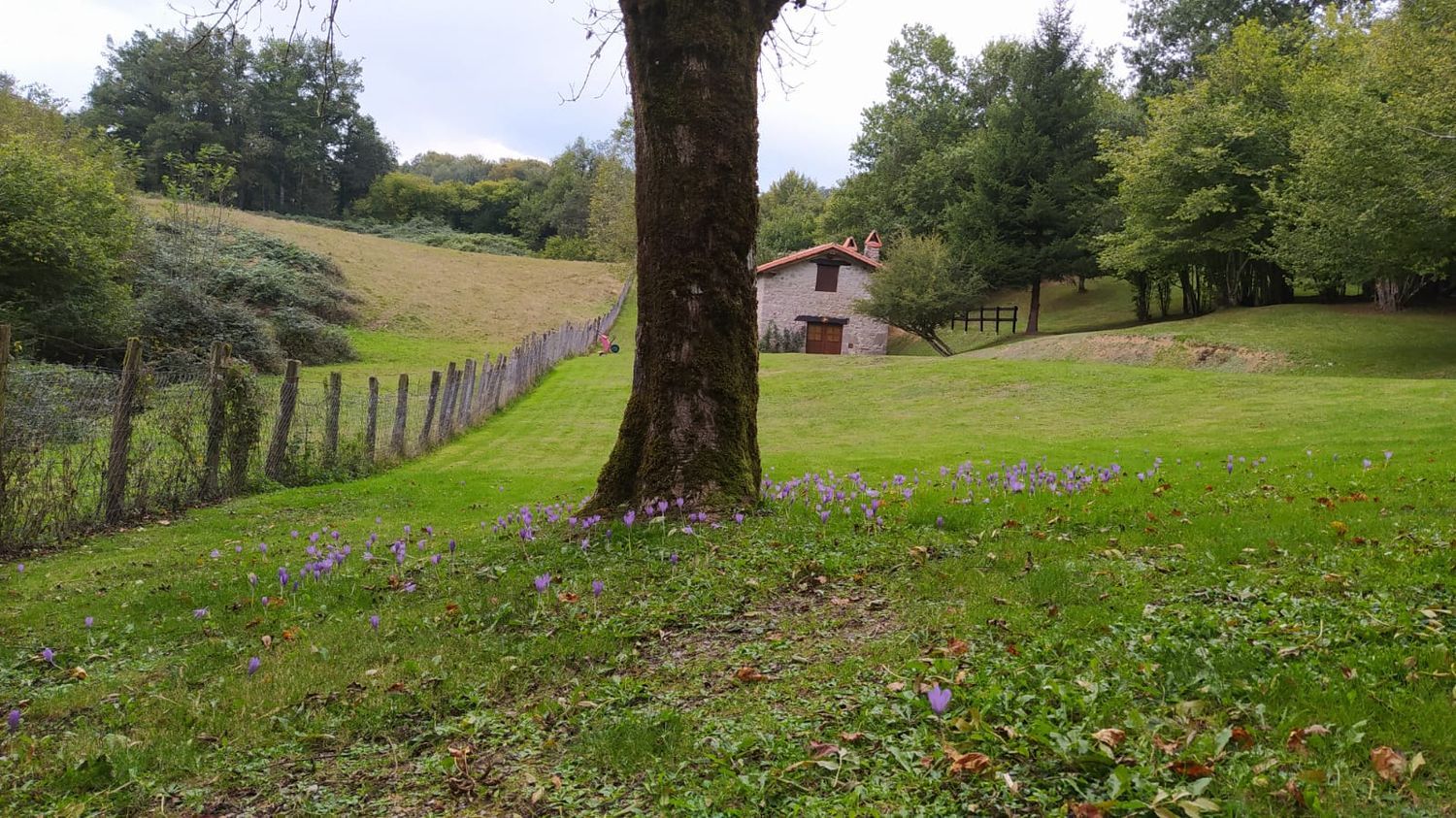 Finca rústica en Na-7510 s/n - Foto 3