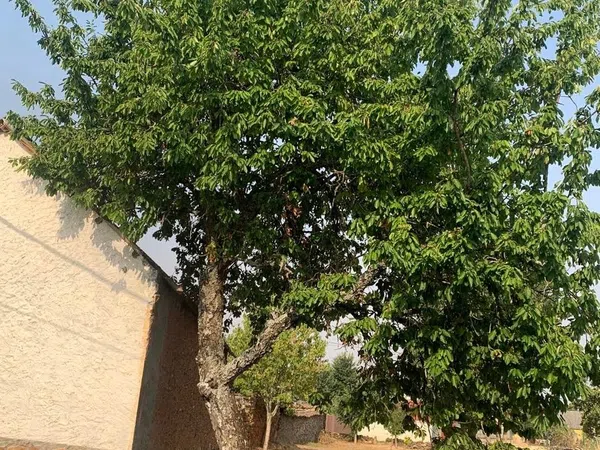 Casa de pueblo en Calle Nueva, 4 a - Foto 4