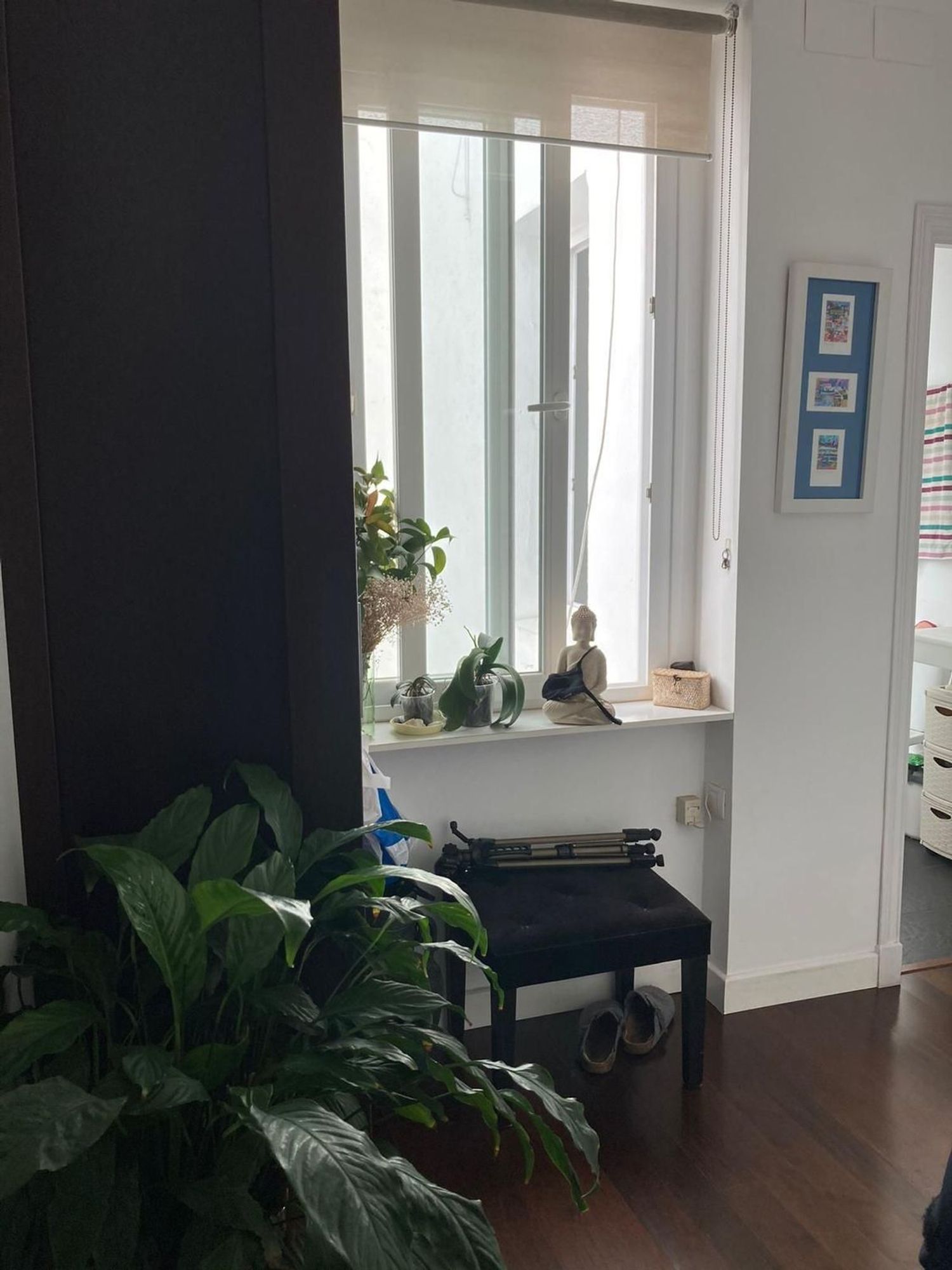 Dúplex en Barrio Puerta Carmona-Puerta Osario-Amador de los Ríos - Foto 5