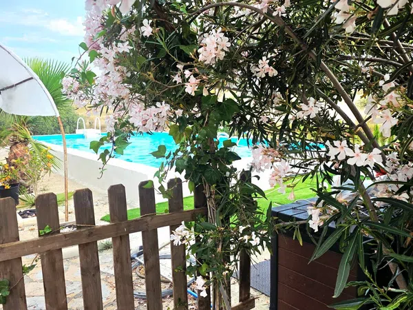 Casa o chalet independiente en Partida Collao, 47, La Huerta, La Huerta - Foto 4