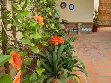 Chalet en  Calle Gabriel y Galán 9 - Foto 44