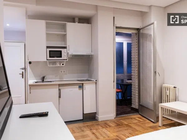 Estudio en Calle de Zurbano, Almagro - Foto 13