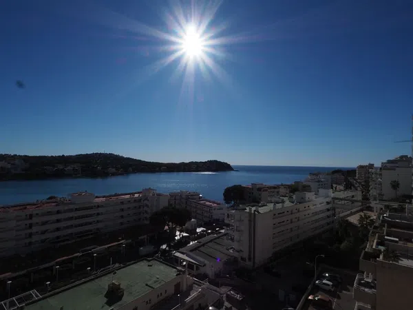 Estudio en calle de Nunyo Sanç, 30 - Foto 4