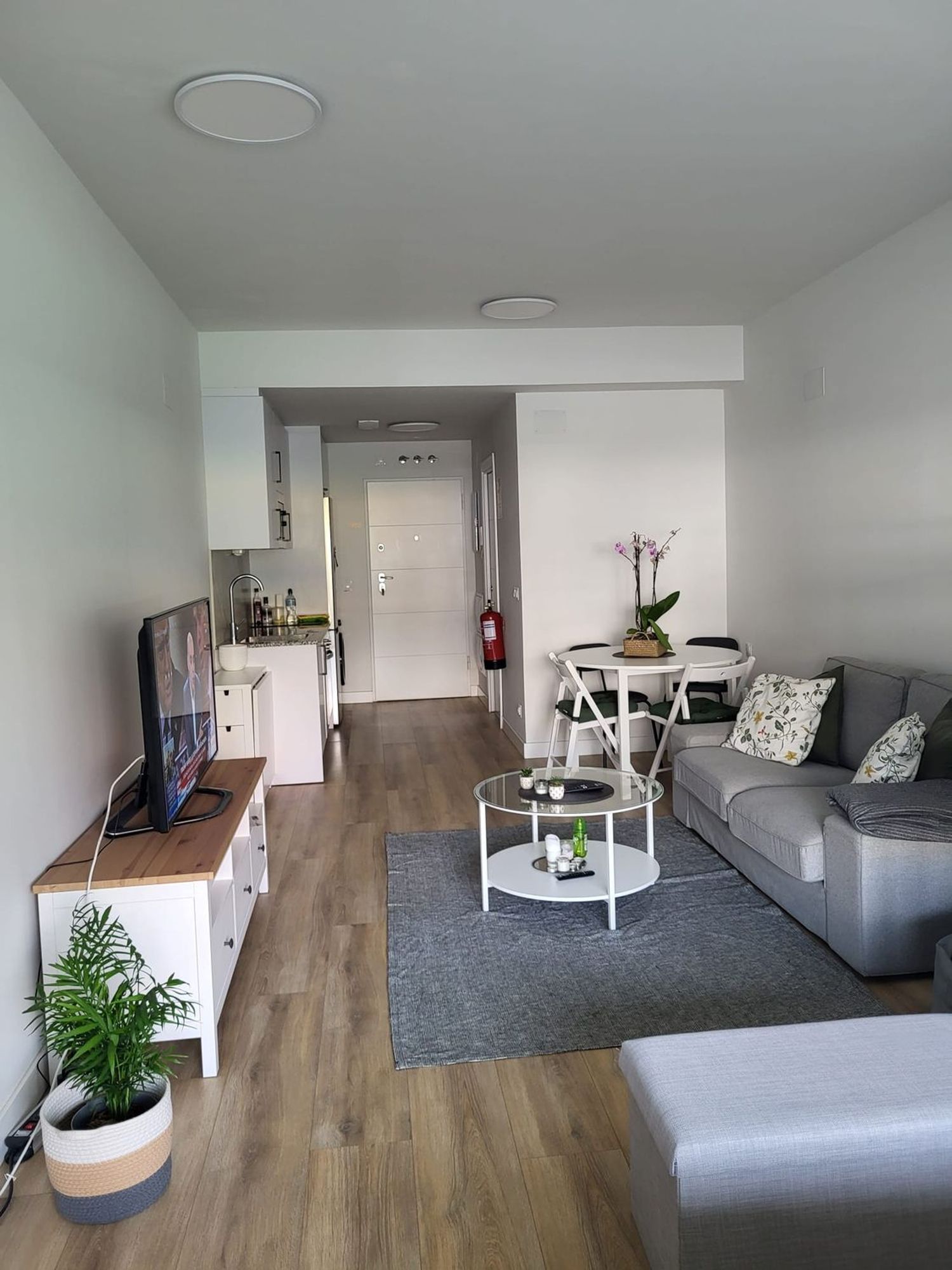 Estudio en paseo de Europa, 30 - Foto 9