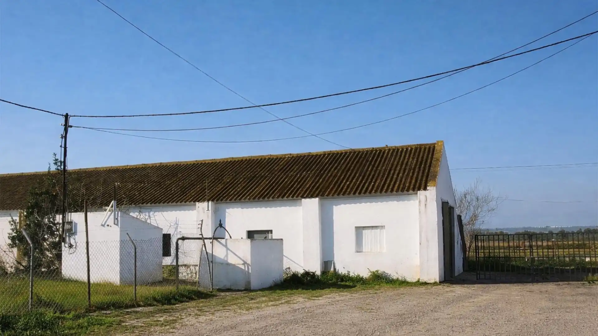 Finca rústica en  Carretera Sevilla 3 - Foto 5