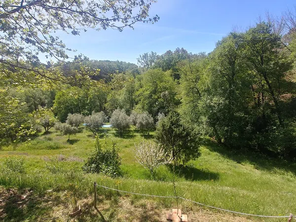 Finca rústica en Pasaje de Jamarín s/n - Foto 28