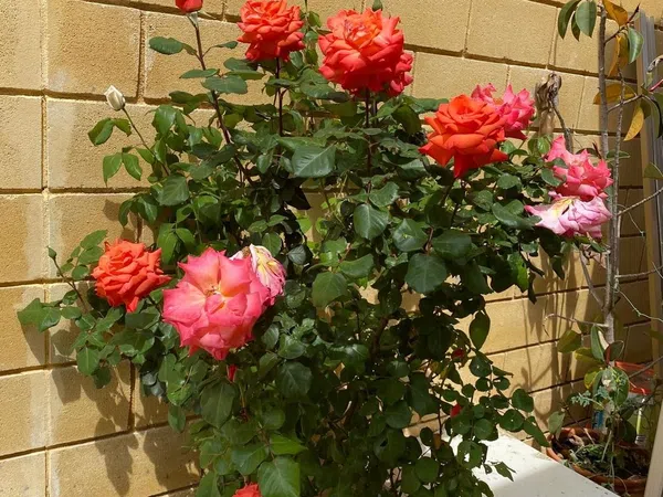 Chalet pareado en calle Juanito Valderrama, 27 - Foto 8