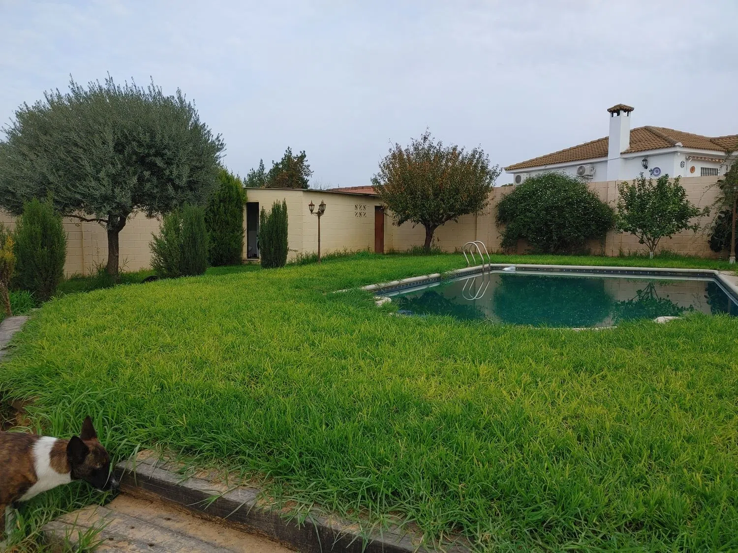 Casa independiente en calle Cruz Roja Española, 6 - Foto 13