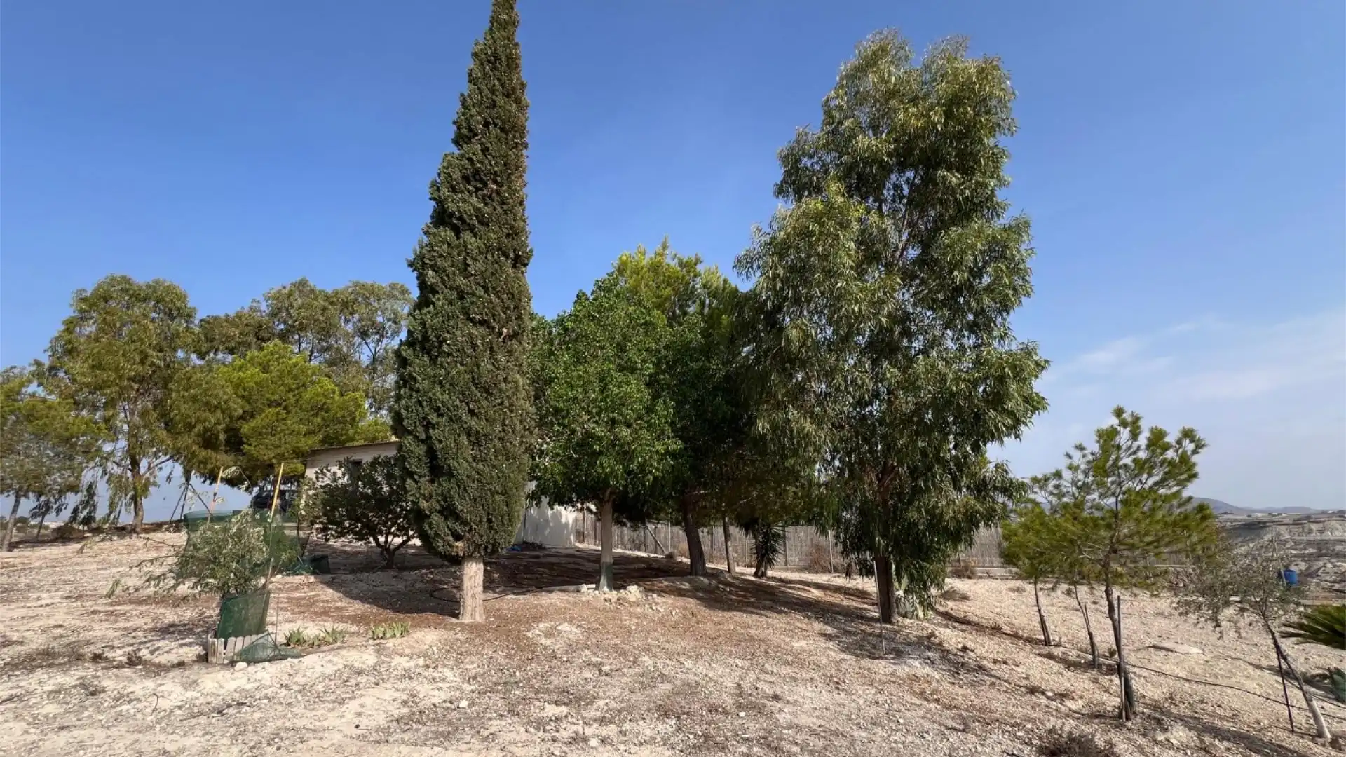 Finca rústica en  Calle Cordel de los Valencianos 2 - Foto 6