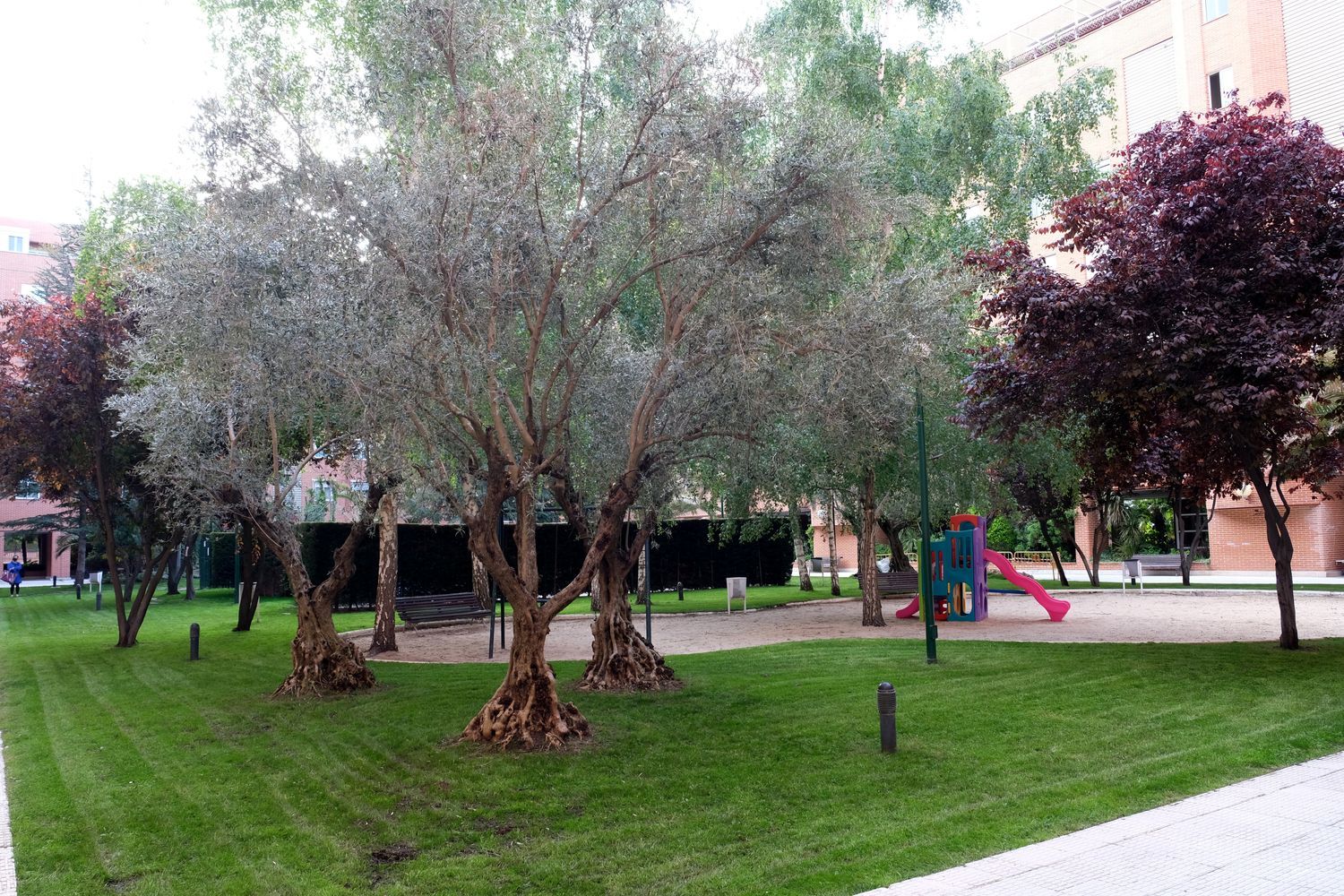 Piso en calle de la Aurora, 23 - Foto 30