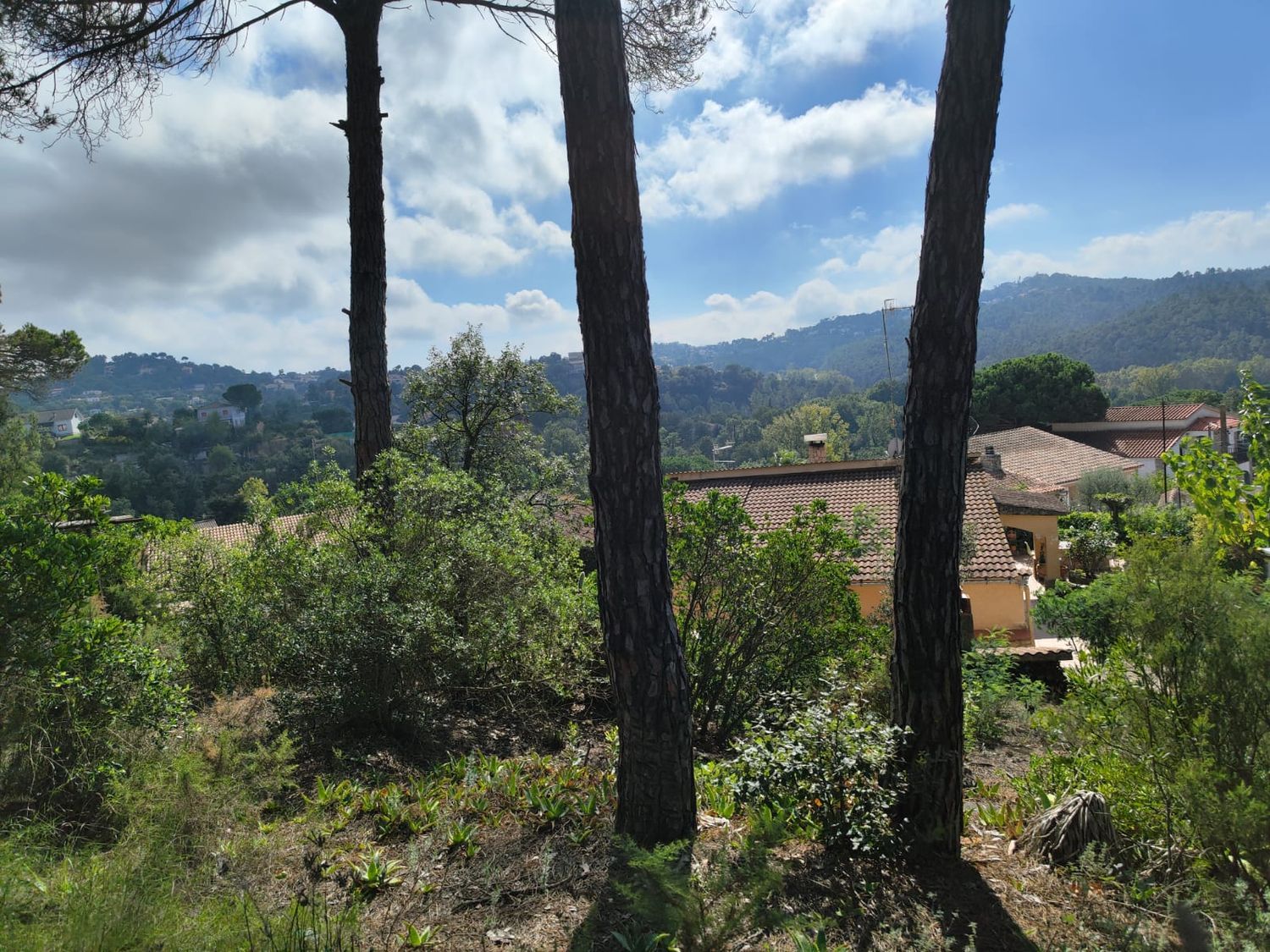 Finca rústica en Calle Avet, 2 n, Aiguaviva Parc, Aiguaviva Parc - Foto 6