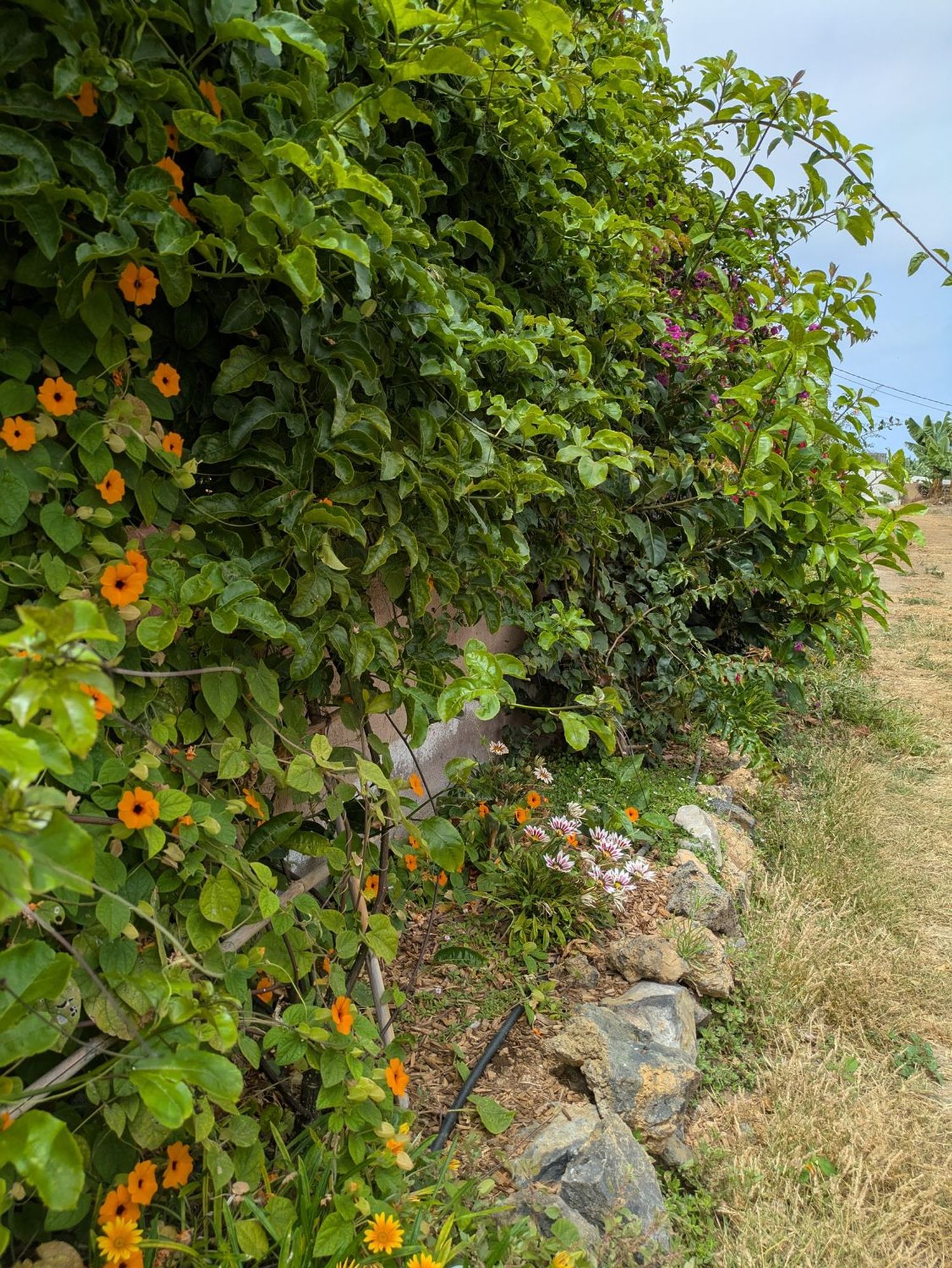 Casa rural en camino Carril, 39 - Foto 15