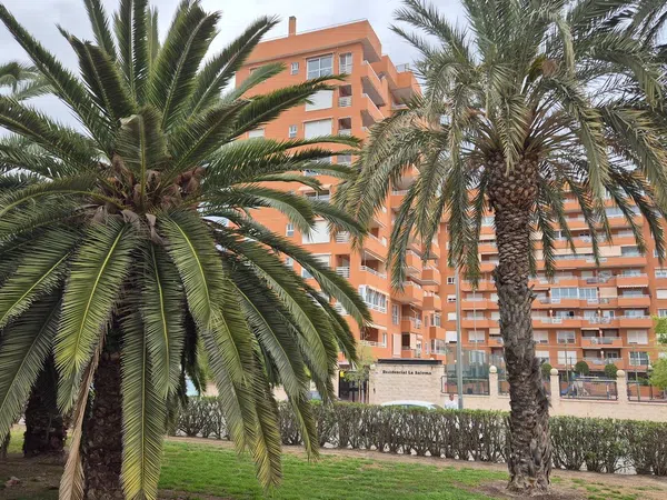 Piso en Periodista Tirso Marín, 16 - Foto 33
