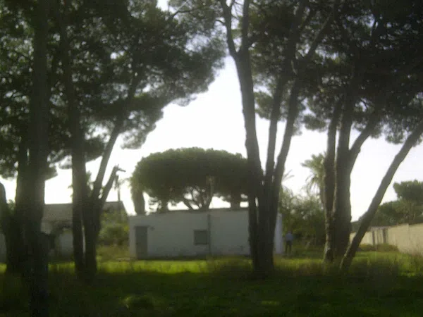 Casa independiente en calle Ceuta s/n - Foto 8