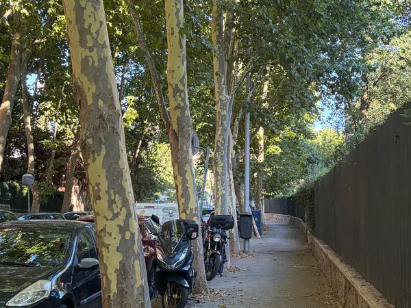 Piso en Calle del Cerro del Castañar, 179, Mirasierra - Foto 19