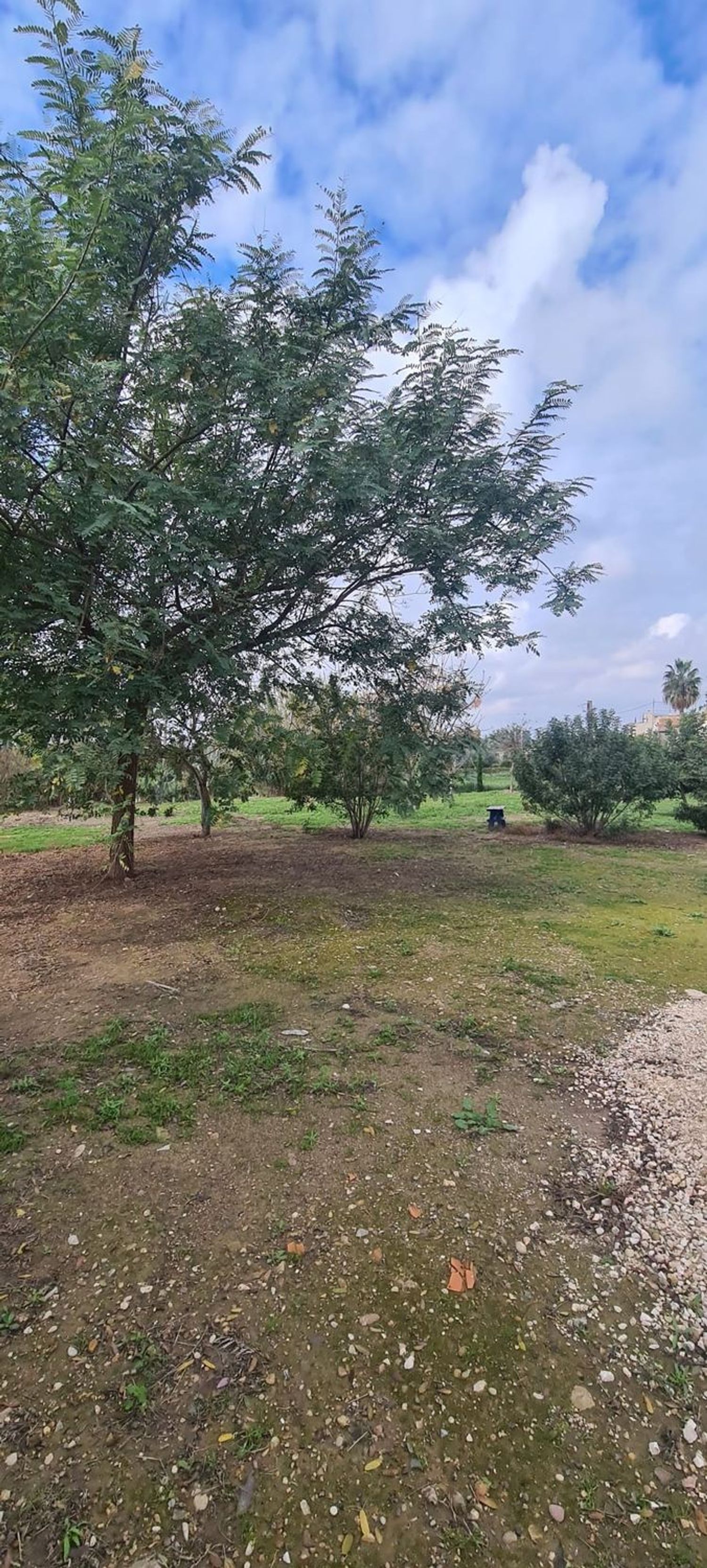 Piso en av de la ñora, 279 - Foto 12