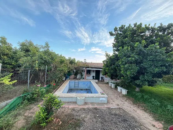 Finca rústica en Diseminado Diseminados, 544, Avda Pescia - Ctra de Frigiliana, Avda Pescia - Ctra de Frigiliana - Foto 2