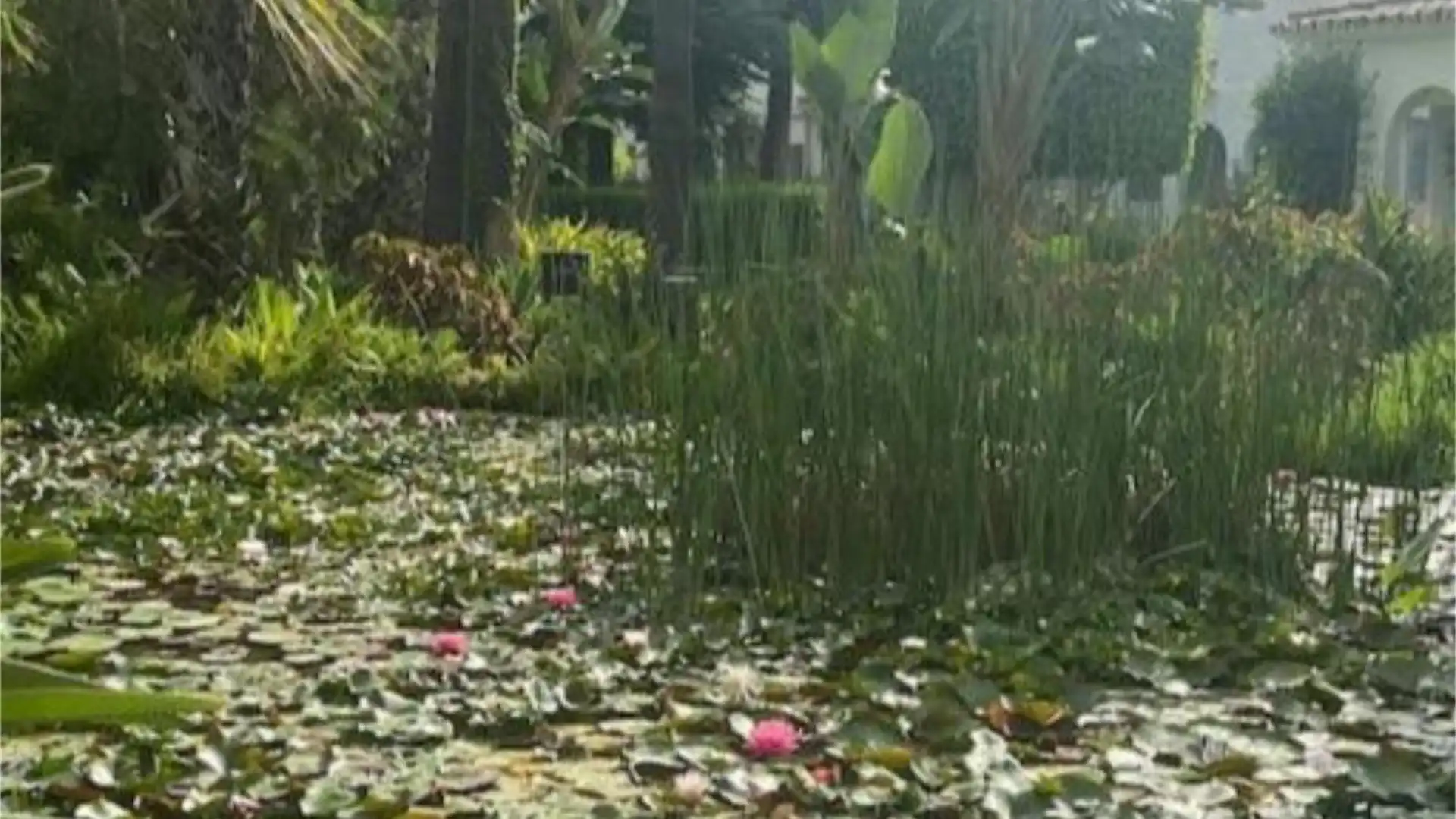 Piso en  Calle Bélgica 4 - Foto 8