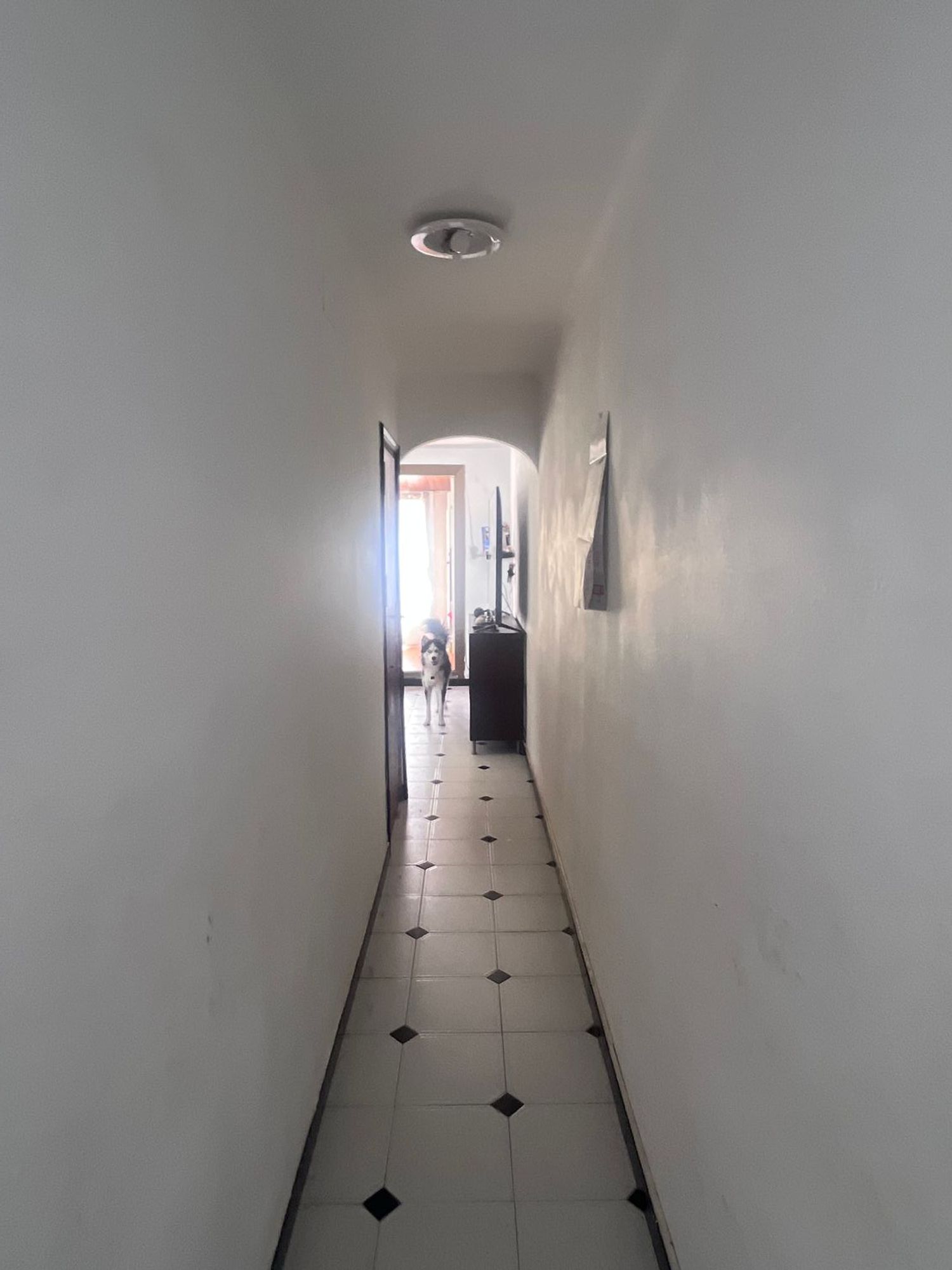 Piso en Calle del Bruc, 44, Sant Joan - L'Aiguacuit, Sant Joan - L'Aiguacuit - Foto 14