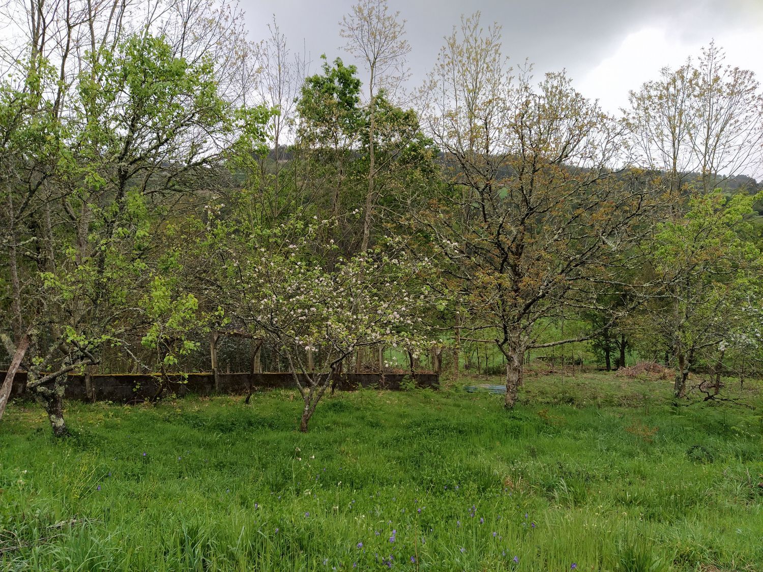 Casa rural en Senin, 6 - Foto 4