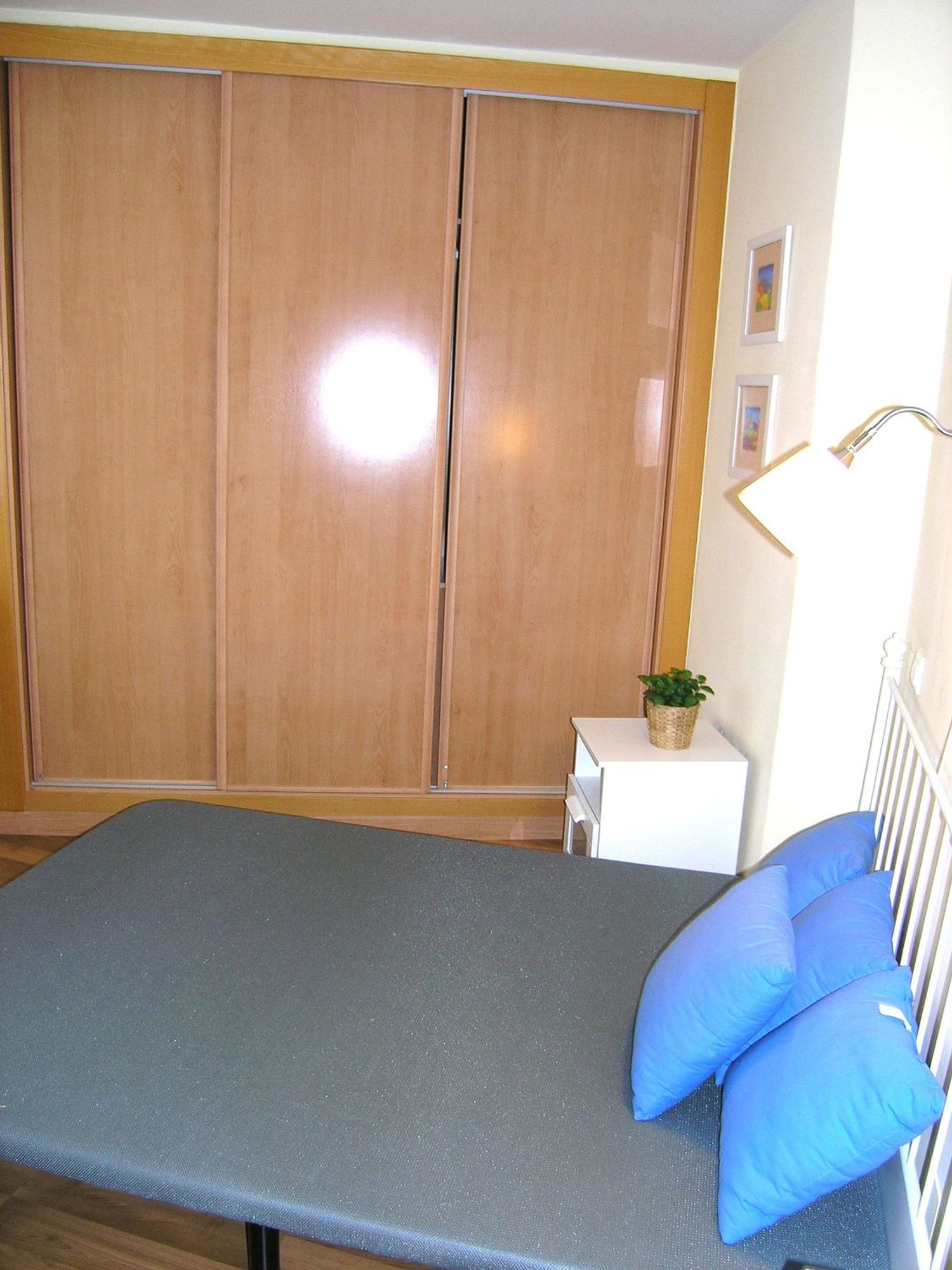 Piso en Pº Zorrilla - Campo Grande, Pº Zorrilla - Campo Grande - Foto 4