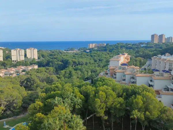 Piso en Campoamor - Foto 15