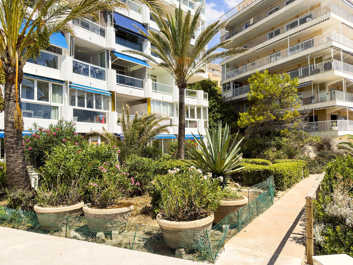 Piso en Calle de Ramon de Montcada, 8, Santa Ponça, Santa Ponça - Foto 24