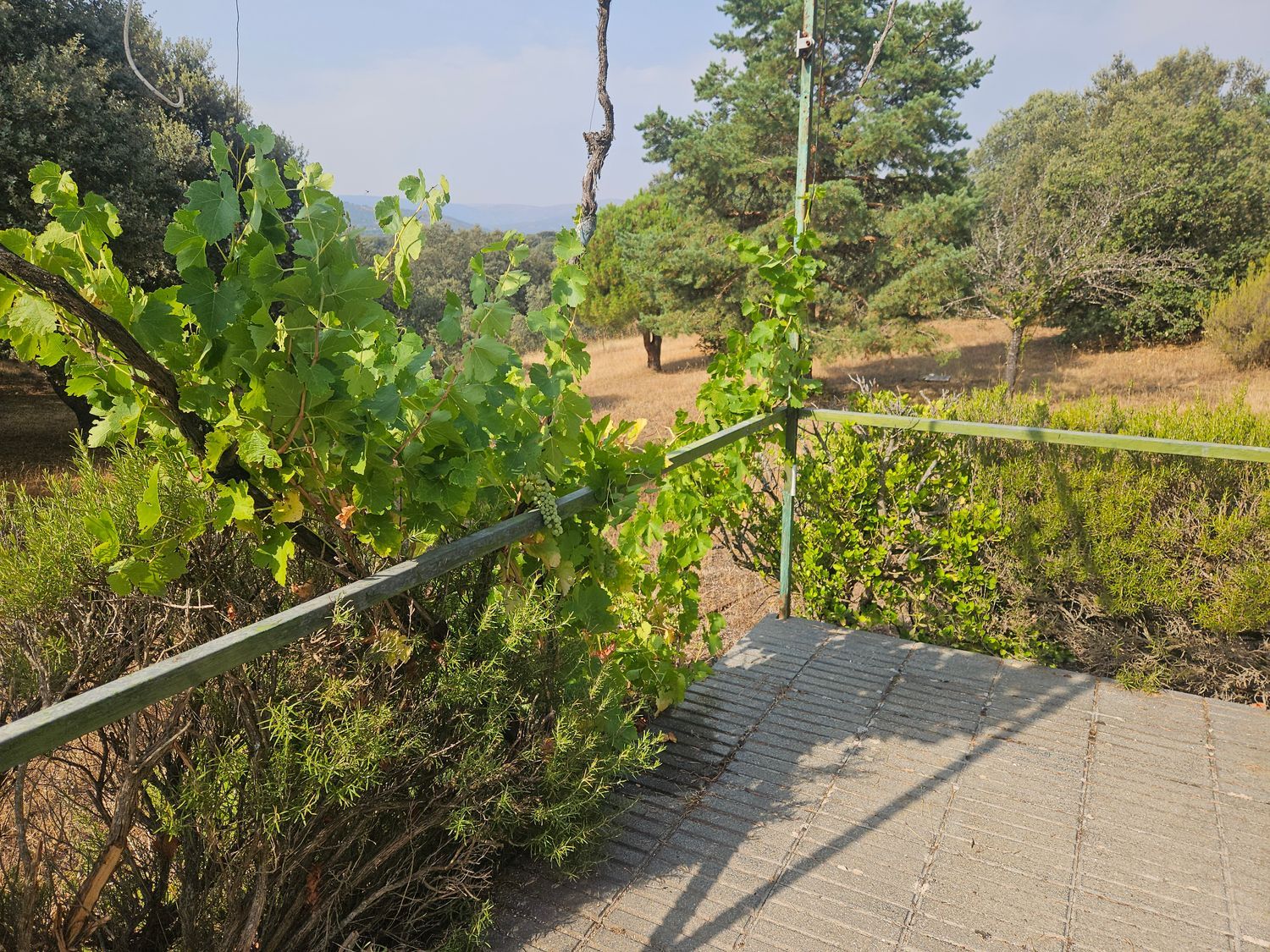 Casa rural en Zarzo del Molino s/n - Foto 2